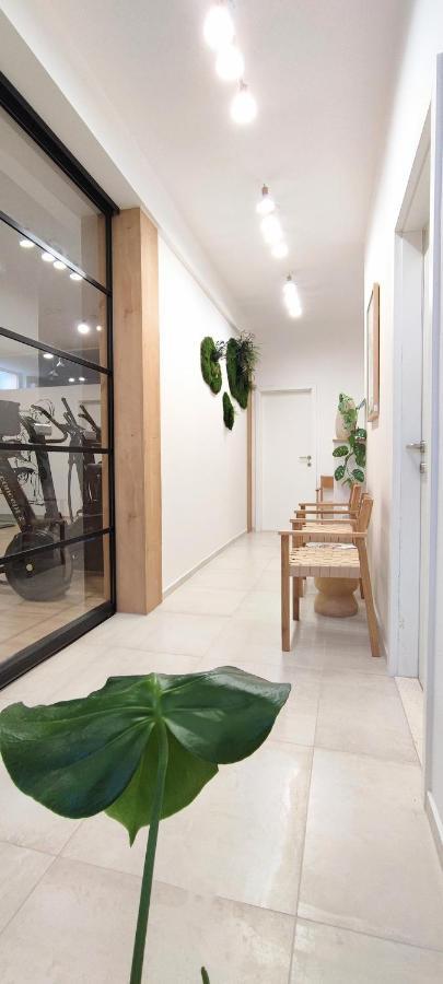 Luna Serene - Gym Rooms زادار المظهر الخارجي الصورة